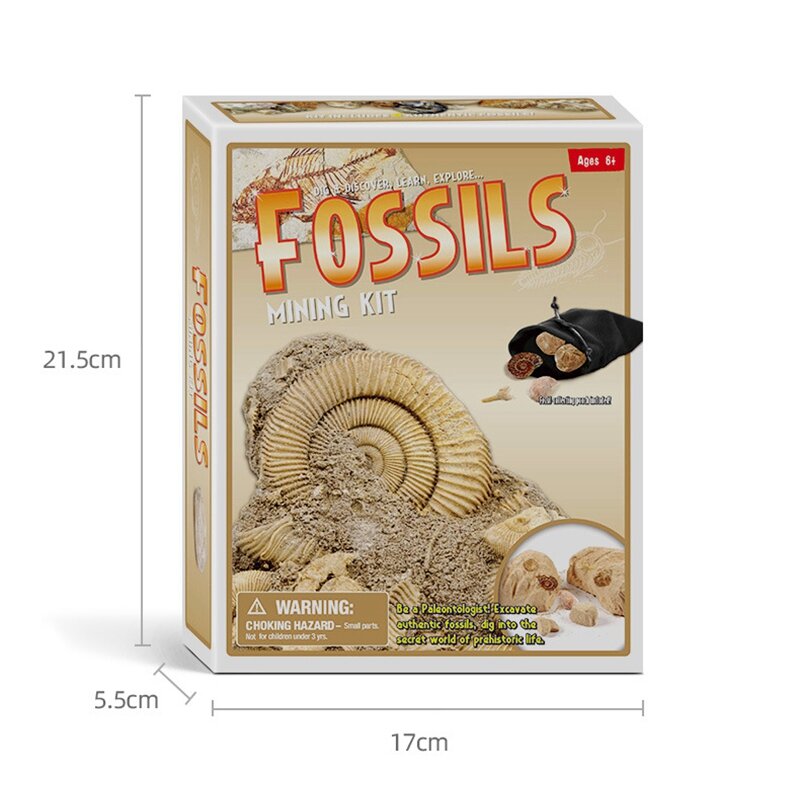 Mainan anak edukasi pengembangan permainan temukan Gali Fosil mainan tradisional untuk anak-anak