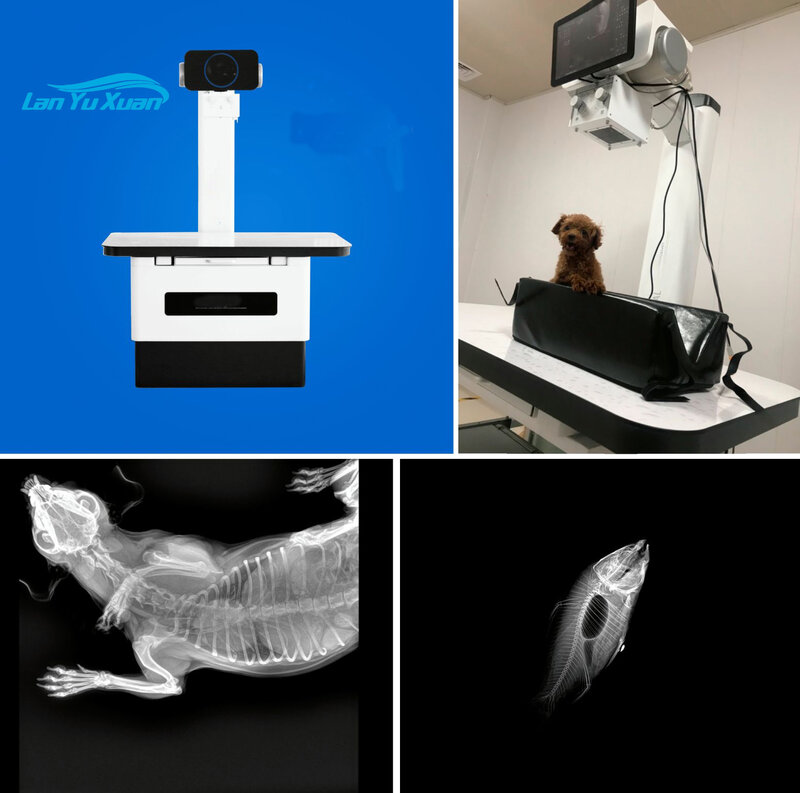Sistema médico do Vet Xray, máquina veterinária de raio X de alta frequência de Digitas com detector do tela plano