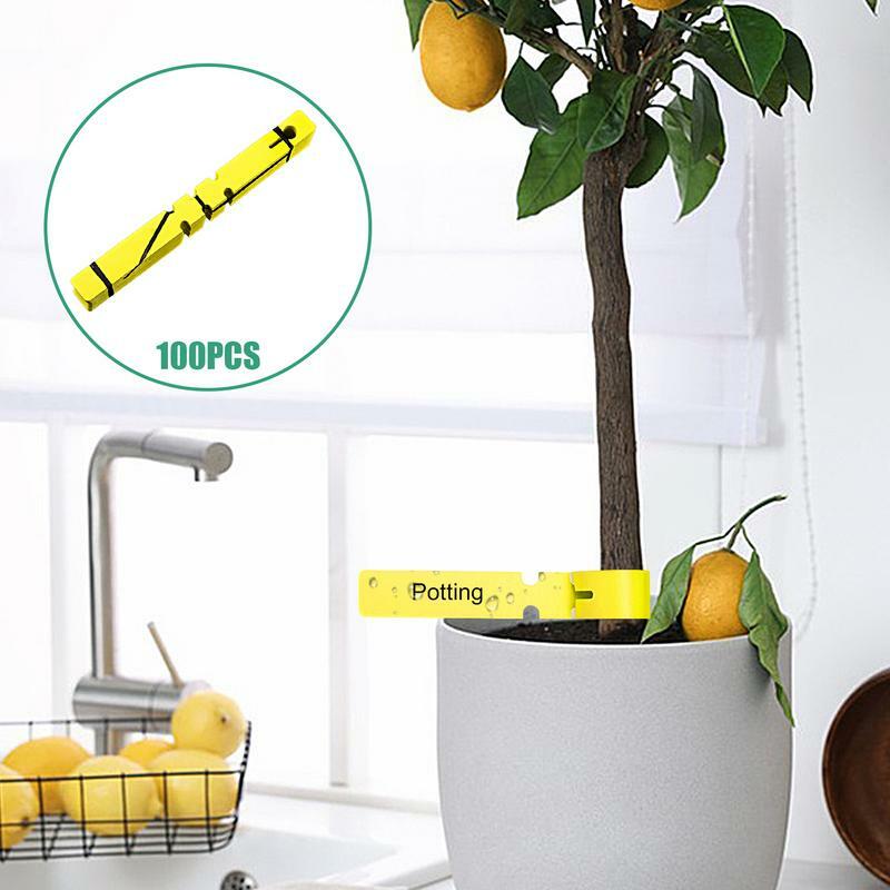 Gardening Tags 100pcs Gardening Labels Tags Waterproof Plant Tree Tags Plant Nursery Markers For Flowers Vegetables And Branches
