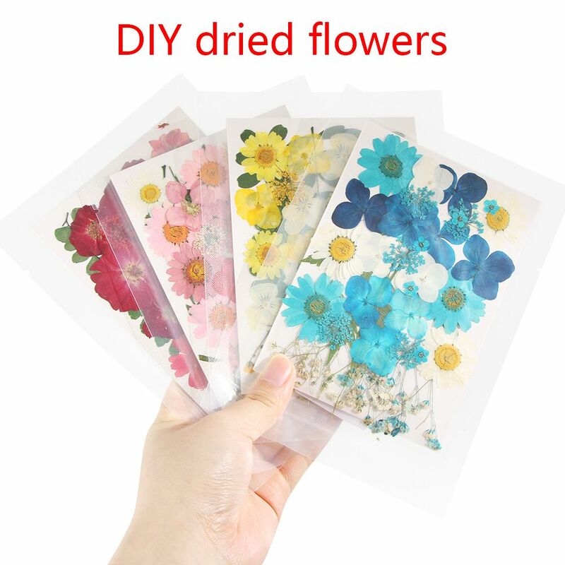 Women Beauty 3D Floral DIY Art Craft Making Real Dried Flower Face Sticker Decor Nail Art Decorations Manicure Tips