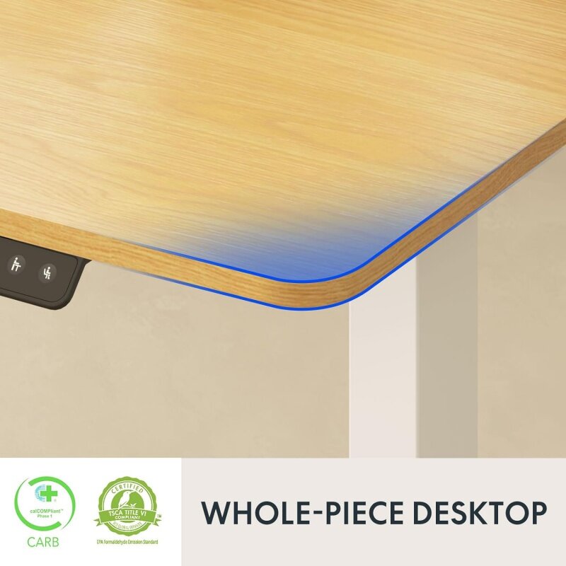 FLEXISPOT Standing Desk Adjustable Height with Whole Piece Desk Board 43 x 24 Inch Electric Stand Up Desk Home Office Computer W