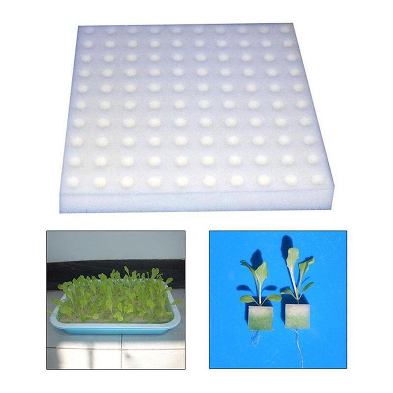 100 buah blok spons bibit hidroponik tanah pot pembibitan budaya sayuran persegi