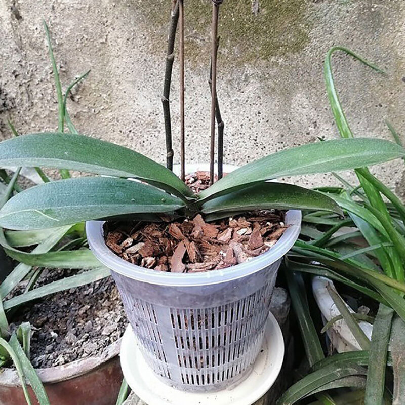 Mesh Pot Root Control Transparent Flowerpot For Orchid Flower Breathable Growth Container Drainage Hole Orchid Pot