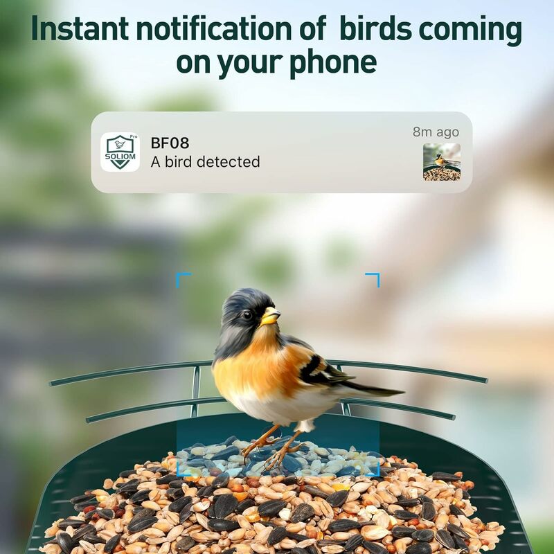 SOLIOM®BF08-cámara alimentadora de pájaros de Metal con reconocimiento de aves AI inteligente, cámara de observación de aves salvajes, vista en vivo, notificación instantánea