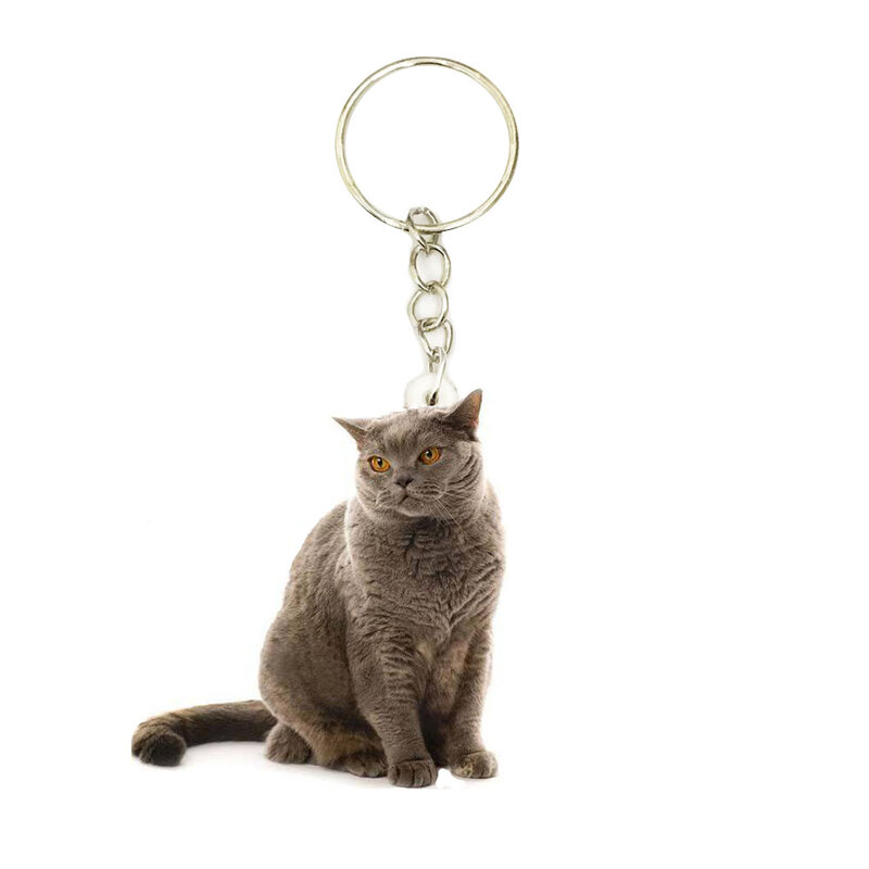 Kucing Inggris Gantungan Kunci Akrilik Pendek Mode Hewan Bukan Gantungan Kunci Pria 3D Jimat Keberuntungan Hadiah Pacar untuk Wanita Gantungan Kunci