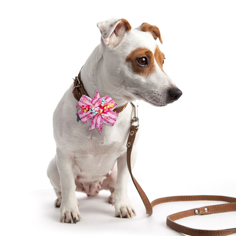 جديد ربطة القوس Movable المنقولة السائبة الصغيرة الكلب بووتيس طوق الاكسسوارات موضة الكلب الانحناء للكلاب التهيأ اكسسوارات مستلزمات الحيوانات الأليفة