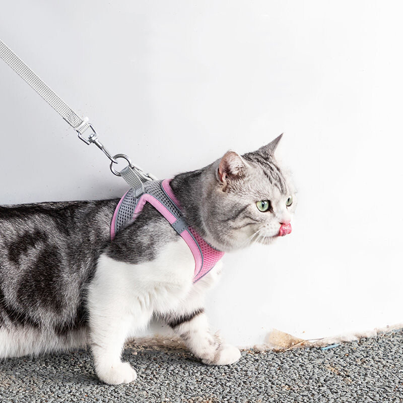 Cat Harness Leash Set Ajustável Dog Cat Collar para Bulldog Francês Harness Vest Puppy Chihuahua Pet Outdoor Walking Leash
