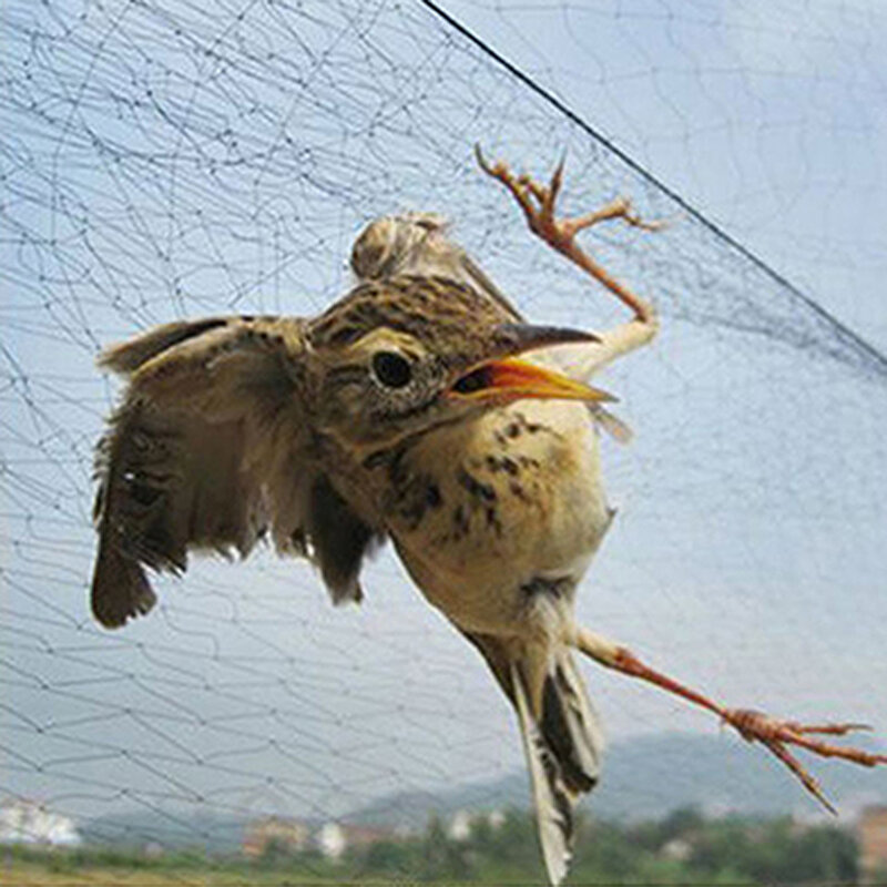 Dropshiping rede de aves anti pássaro apanhador rede lagoa rede de pesca rede armadilhas culturas árvore frutas flor jardim malha ferramenta controle pragas