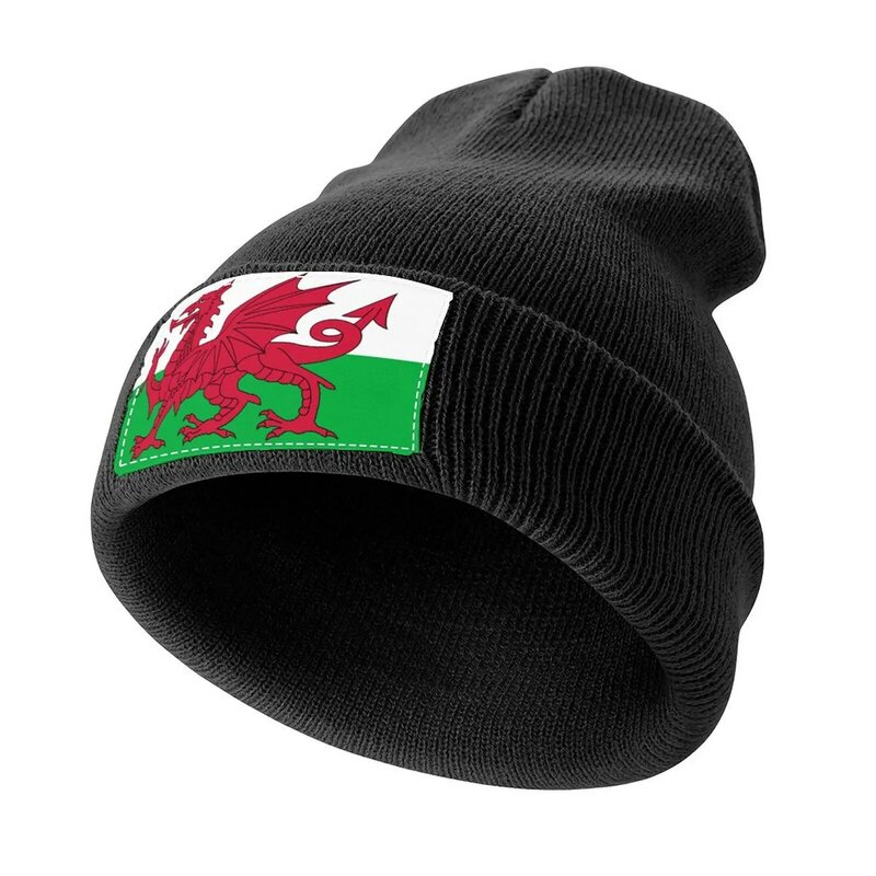 Gorra de punto con bandera de Gales para hombre y mujer, gorro de camionero, sombrero de lujo