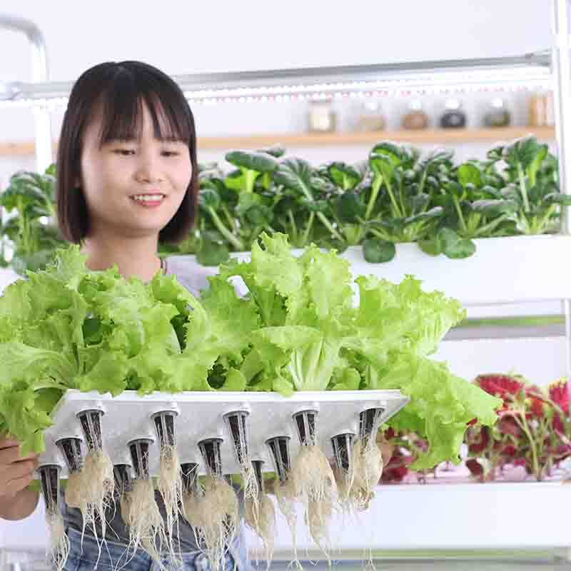 Автоматический удобный растительный цветочный горшок для выращивания растений