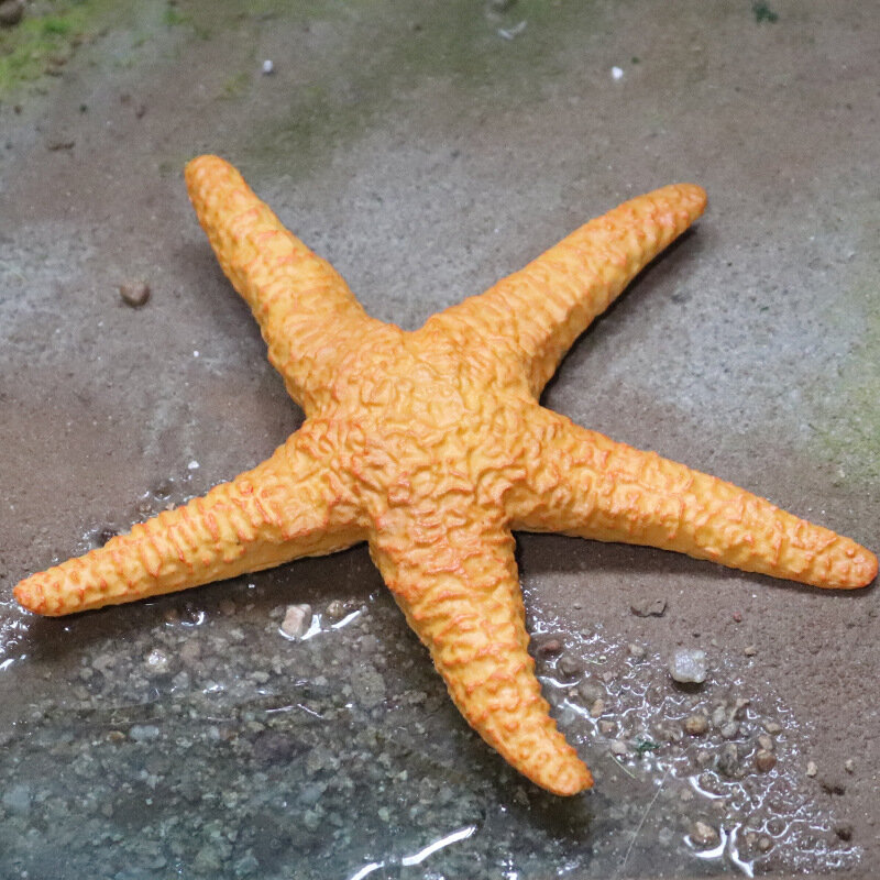 Gorące zabawki morskie zwierzęta figurki rozgwiazda konik morski kałamarnica elektryczny Eel delfin ryba krab figurka dzieci zabawka edukacyjna prezent
