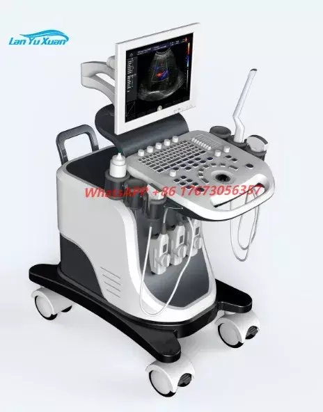 Máquina de ultra-som portátil com LED Color Display, Ultrassom Instruments para Hospital 3D e 4D, 15 em