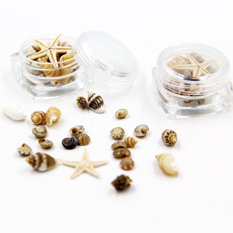 MINI Tiny Sea Shells ผสม Ocean Beach Seashells ปลาดาวธรรมชาติสำหรับ Home Beach Theme งานแต่งงานตกแต่งแจกัน FILLER 264E