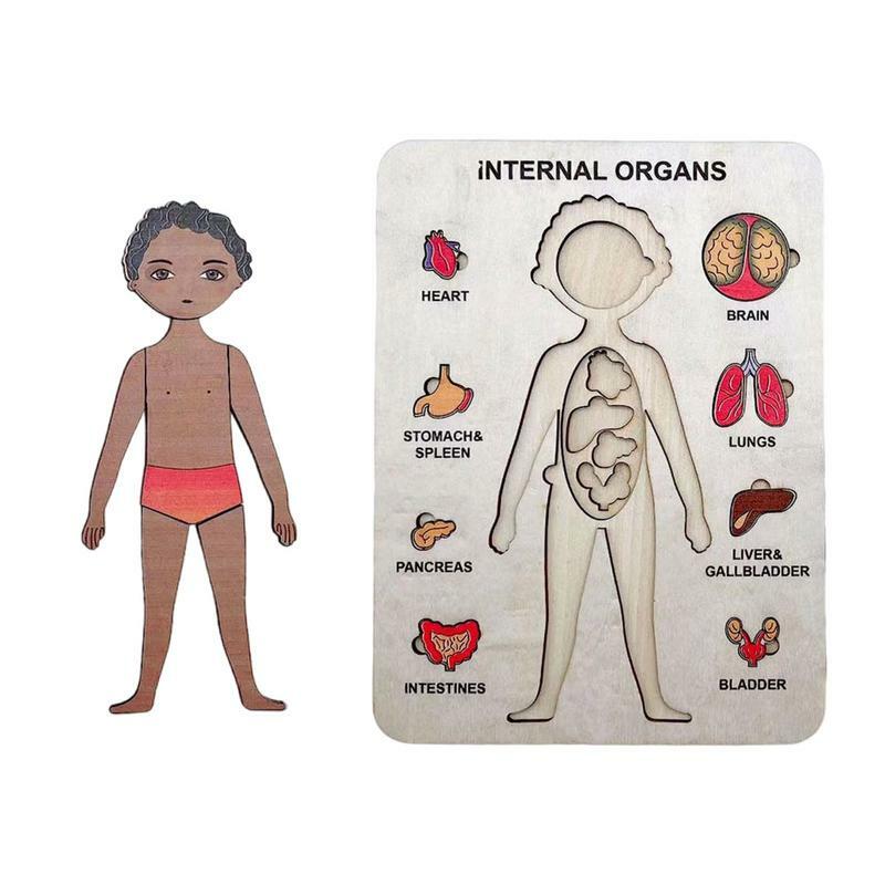 Puzzle Model tubuh manusia untuk balita belajar teka-teki tubuh manusia suku cadang tubuh anatomi anak laki-laki Set permainan pelajari bagian tubuh otot organ