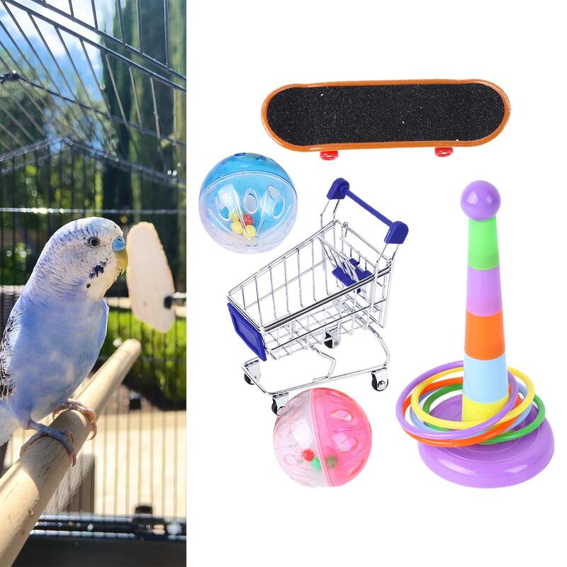 Bird Training Toy Balls Parrot for Cockatiel Pet Supplies All Types Birds