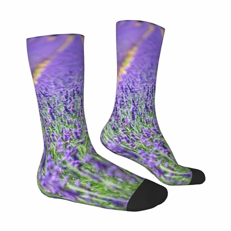 Lavender Fields Forever calcetines de invierno Dunkellila Plant Violet Vera, medias de moda para mujer, Calcetines antideslizantes personalizados para exteriores
