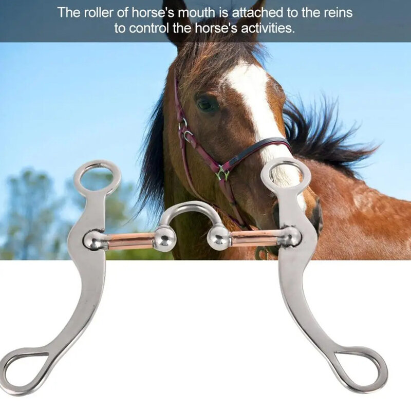 Mata bor koreksi baja tahan karat dengan barel tembaga lembut dan bebas karat akses mata bor untuk kuda sensitif