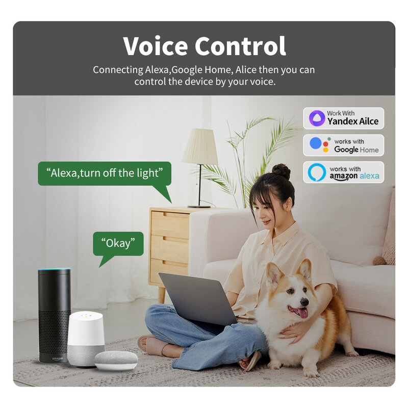 Tuya Mini Wifi Smart Switch Modul Unterstützung 2-Wege-Steuerung Smart Home DIY-Schalter Smart Life App Alexa Google Home Sprach steuerung