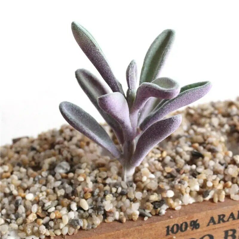 Mini plantas suculentas de imitación, suculentas con textura realista, para decoración del hogar y Escritorio