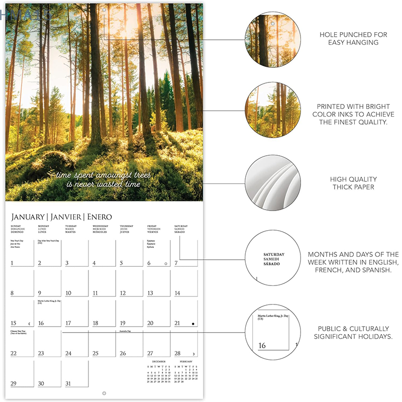 Calendário de parede Into the Woods, Papel grosso, Casa e Escritório Organizer, grade mensal grande, feriados marcados Calendários, 2022