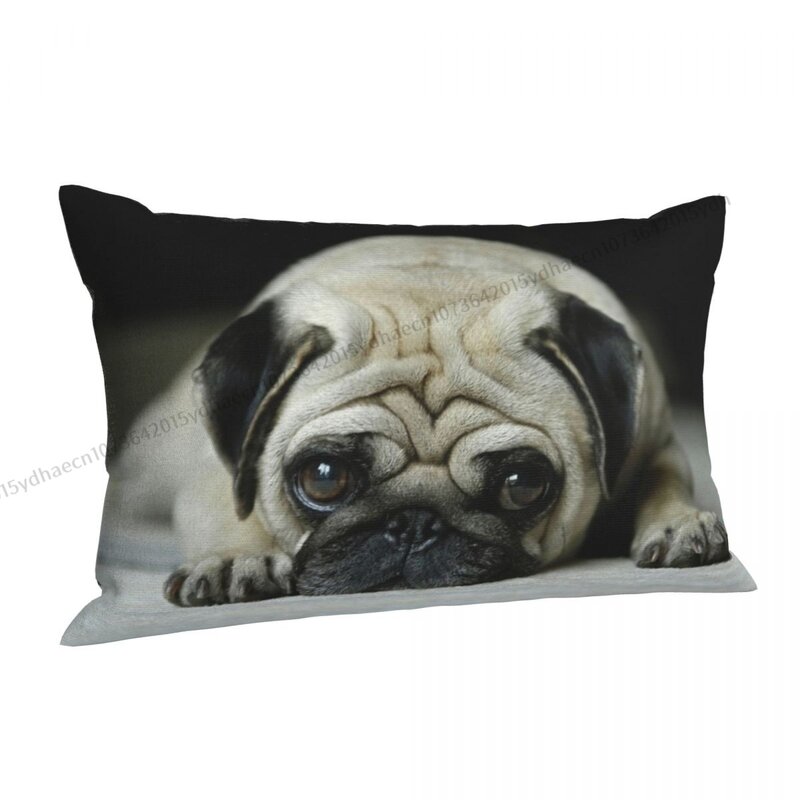 Federa per cuscino stampata Bulldog inglese fodere per cuscini per zaino federa riutilizzabile per decorazioni per sedie