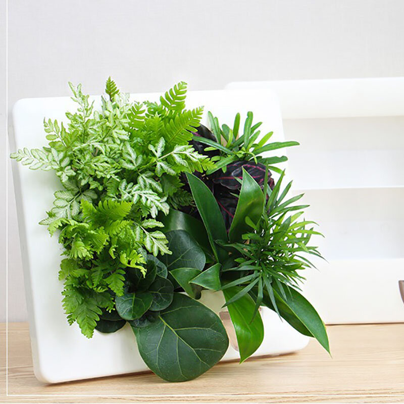 Bingkai Foto Pot Bunga Tanaman Vege Taman Yang Dipasang Di Dinding Pot Bunga Dekorasi Tanaman Rumah Tangga Sistem Penumbuh Kotak Pot Bunga Sukulen