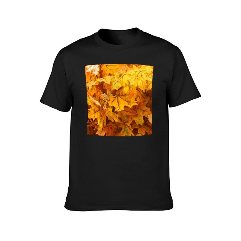 Camiseta de arte gráfica masculina, folhas douradas e de laranja pastel, costumes pretos, roupas fofas, hip hop, outono