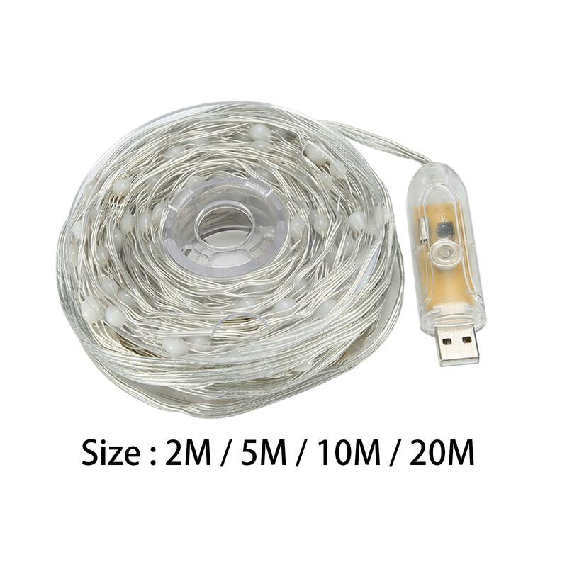 LED String Light with Remote for Holiday Valentine's Day Decoration Birthday