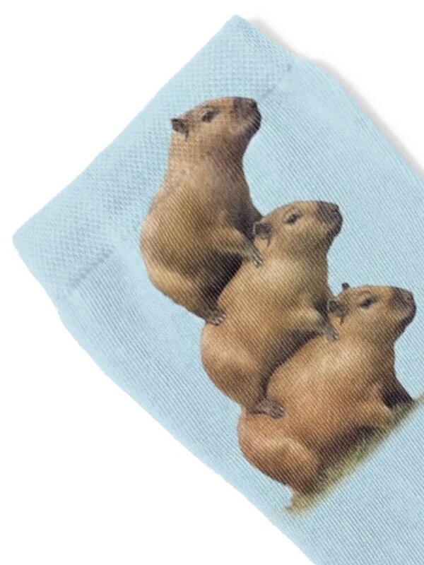 Capybara-Calcetines antideslizantes para hombre y mujer, medias de regalo de Navidad