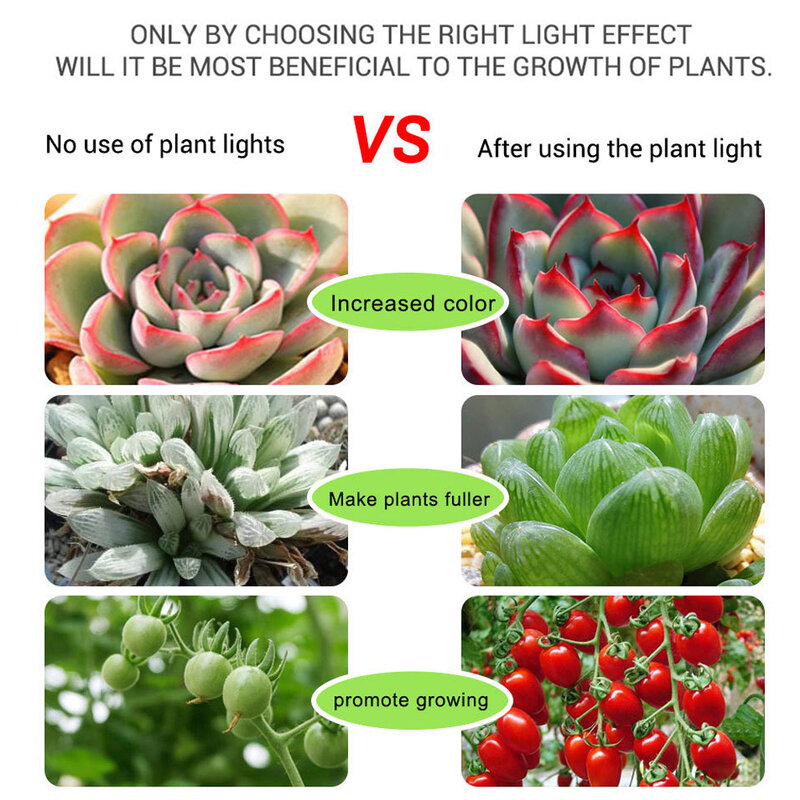 Lampe horticole de croissance LED, USB, 1/2/3m, étanche, pour culture de plantes, légumes, fleurs, semis