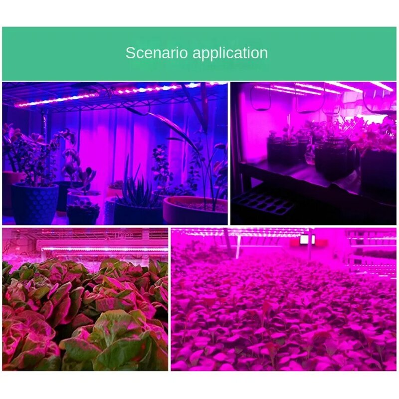 Oświetlenie LED do uprawy pasek pełnego spektrum 5V lampy fito LED dla roślin szklarniowych hydroponicznych rosnących kwiatów nasiona fito pasek świecący