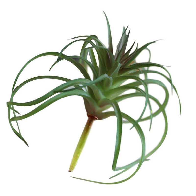 Tillandsia Artificial falsa para decoración de habitación, planta de simulación suculenta, plantas verdes de imitación para jardín, hogar, oficina, Patio, Hotel