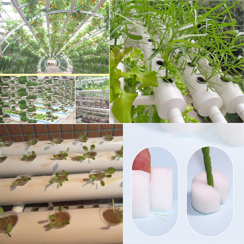 Cesta de malla hidropónica para cultivo de plantas, taza de vivero, bandeja de esponja, plantador de verduras aeropónico, clonación q1, 50 piezas