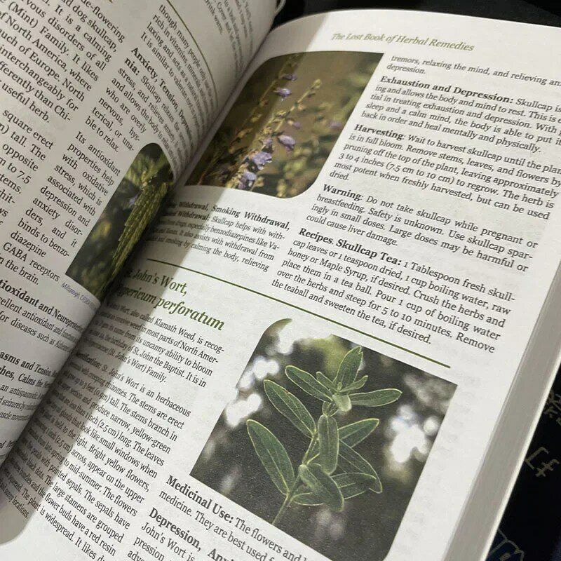Il libro perso il potere curativo della medicina vegetale Paperback libri inglesi colorati