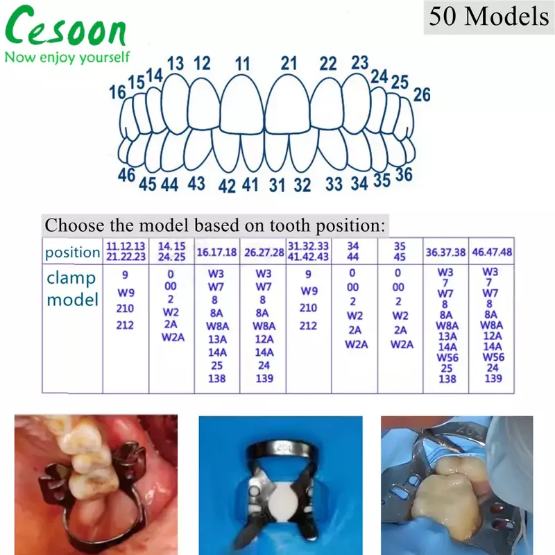 Aço inoxidável Dental Rubber Dam Grampos, Endodontic Restorative Barreira Clipes, Frame Holder, Molar Dentes, Oral Materiais, 60 Tamanhos