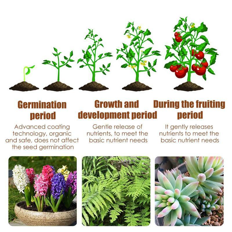 Fertilizzante a rilascio lento controllato speciale da 120 giorni per fertilizzante granulare nutriente universale per piante succulente per piante in vaso