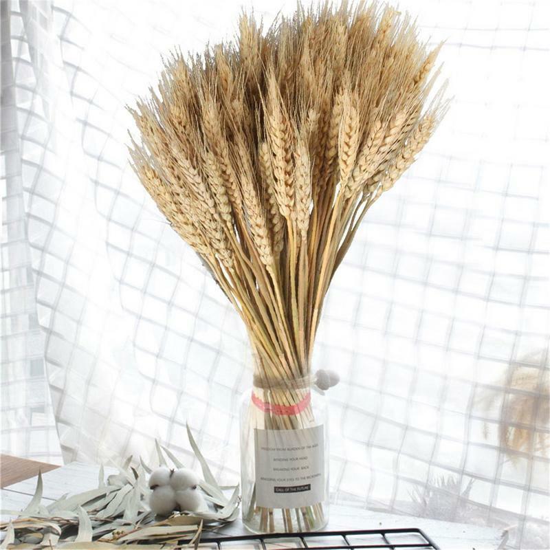 Hojas de trigo secas naturales para decoración, tallos dorados de Color primario Natural, accesorios de fotografía, 100 piezas