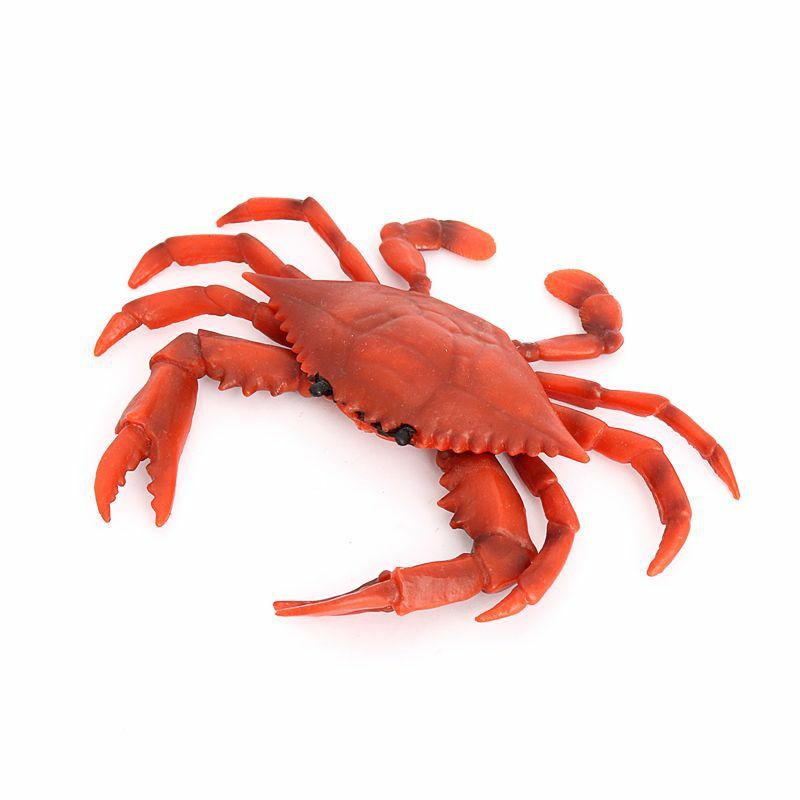 Modelo de simulación de Vida Marina, juguete de cangrejo de patas azules, Animal sólido submarino para niños, regalo