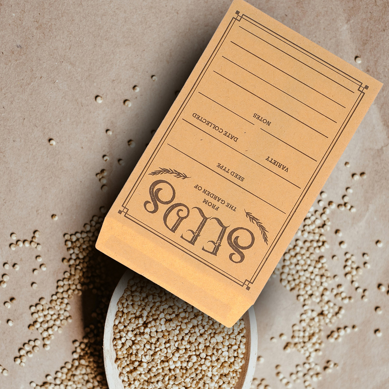 Pacchetti di semi di carta da 50 pezzi sacchetti di semi sigillanti contenitori di semi pacchetti di monete di carta