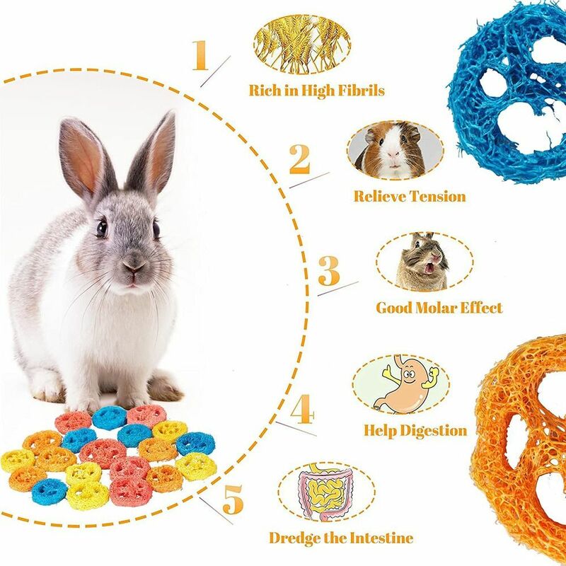 Chinchillas-10 piezas Loofah, juguete para masticar hámster Natural orgánico hecho a mano, suministros para mascotas, conejo, juguetes para masticar