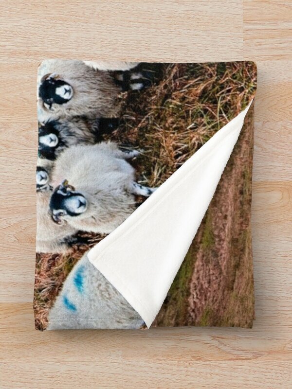 Swaledale owce w Weardale rzut koc nadziewane koce