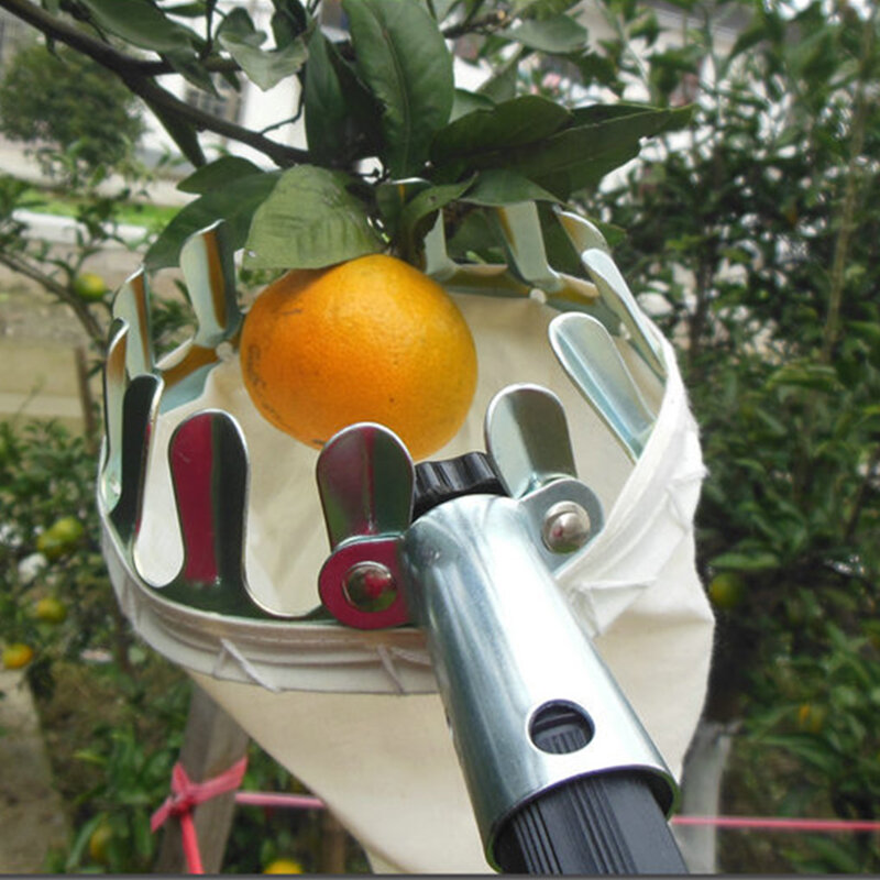 Metalowe zbierak do owoców sad ogrodnictwo jabłko brzoskwinia wysokie drzewo zbieranie narzędzia owoce Catcher kolekcja etui Farm narzędzia ogrodowe