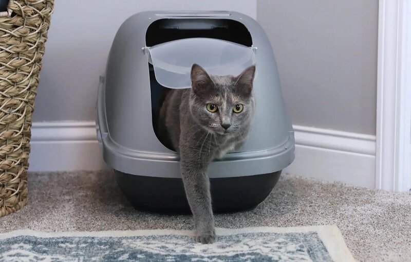 閉じた猫のキラキラパン覆われたプラスチックボックス、ドア付き、基本的なフード付きの猫のキラキラボックス、大、青、銀