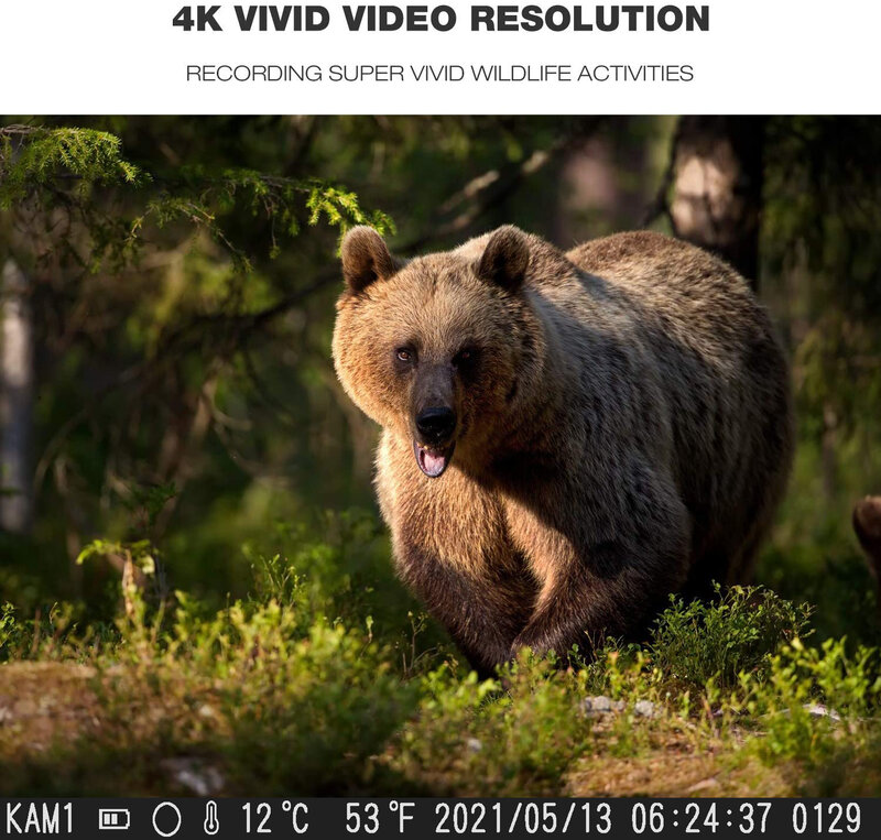กลางแจ้ง4K แสดงสดสัตว์ป่ากล้องทหารพราน30MP APP บลูทูธควบคุมการมองเห็นได้ในเวลากลางคืนภาพ Trap เกม Cam กันน้ำ