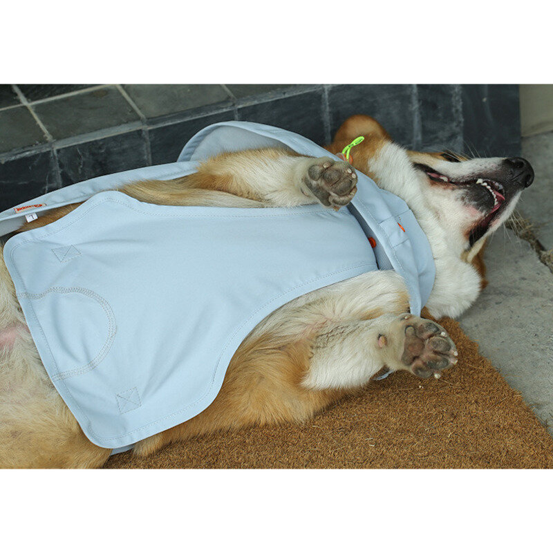 เสื้อกันฝนสุนัขขนาดเล็กกรรไกรตัดเล็บสุนัขขนาดกลางกันน้ำได้กระเป๋าถุงหน้าท้องใส่สัตว์เลี้ยง