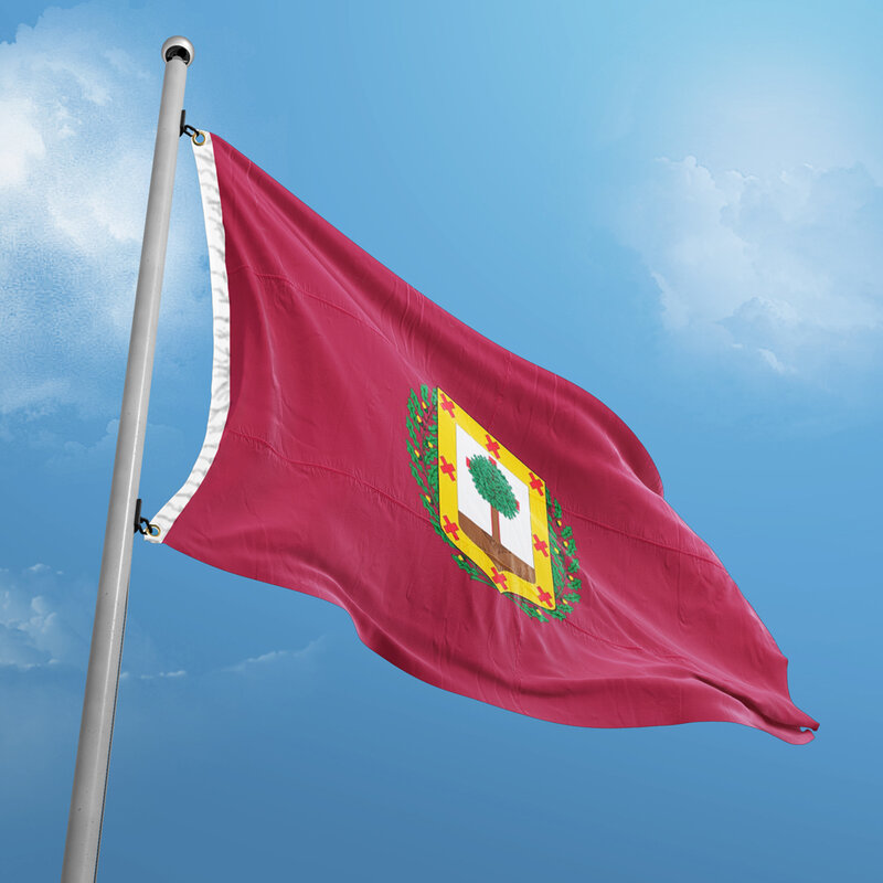 Bandera de Vizcaya de 3x5 pies, 90x150 cm, banderas de la Provincia de España, banderines para decoración del hogar, interior y exterior, poliéster colgante