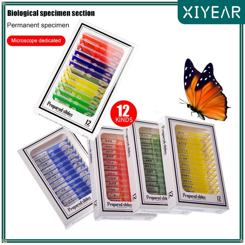 The microscope slide plastic preparation kit rewards butterfly specimens for use in student-initiated biological experiments