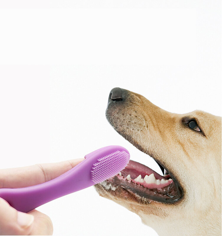 Cepillos de dientes de silicona para gatos y perros, herramientas para el cuidado del sarro, suministros de limpieza