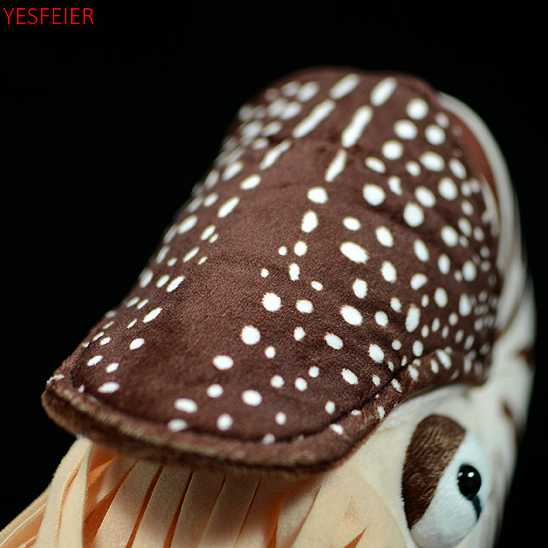 Niedlich schöne 20x18x9cm Nautilus Plüsch tier Kammer Nautilus Nautiloidea Modell Meer Leben Stofftiere weiche Puppen Geschenk