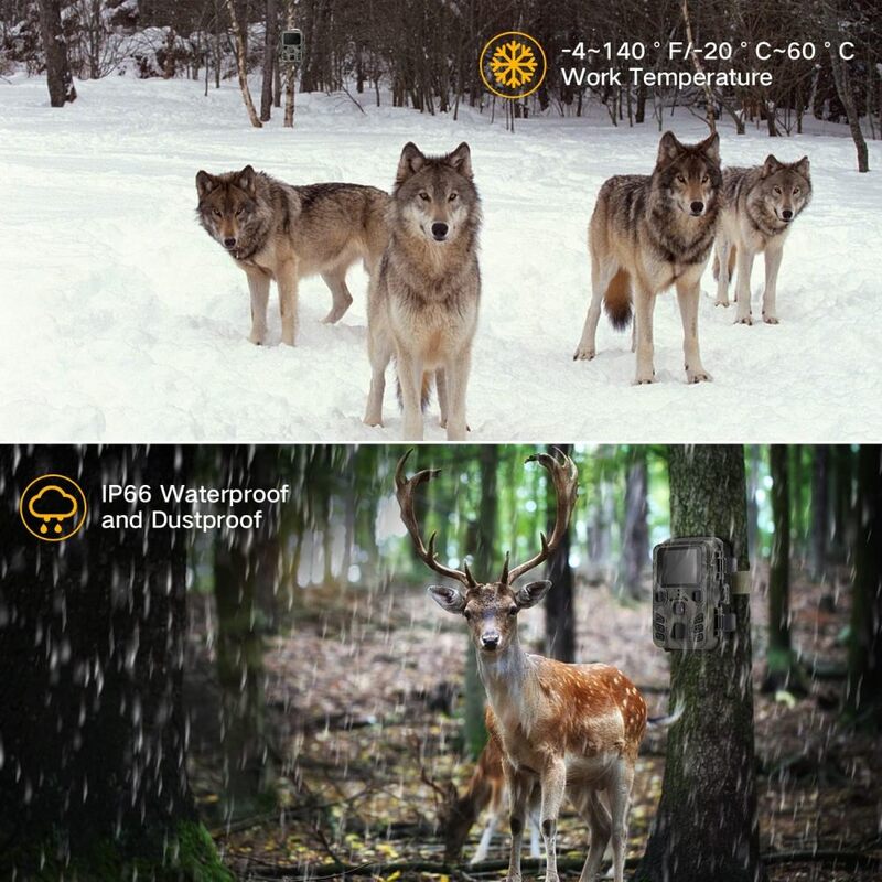 Câmera Outdoor Wildlife Trail com visão noturna infravermelha, 0.3S Movimento Ativado, Armadilha à prova d'água, Scouting Wildlife, 24MP